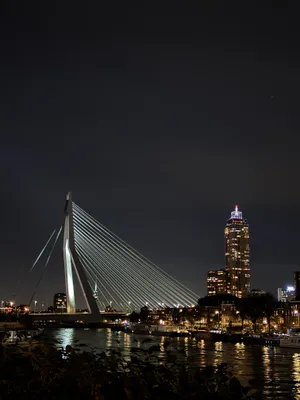 Rotterdam river view — photo 1