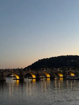 Cahrles Bridge — photo 1